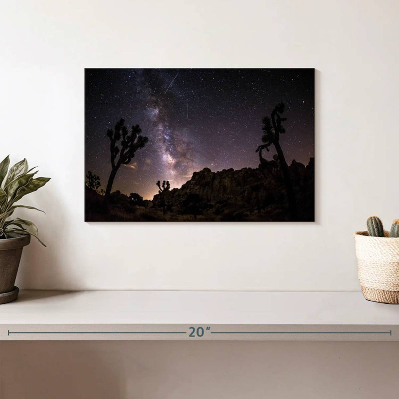 Parc arboré Oberle Starlit Joshua, H 8 po x l 12 po