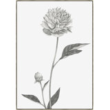 A Flower Of Day II Print by Janice Sadler