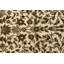 Tapis oriental crème / brun / kaki traditionnel Indo Kerman 6 pi 5 po x 9 pi 7 po