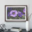 Purple Flowers - Framed Print-62758850-62758851
