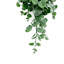 75cm Faux Plant-127681094