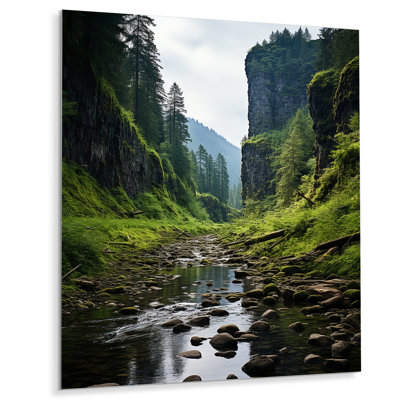 " USA Olympic National Park River "