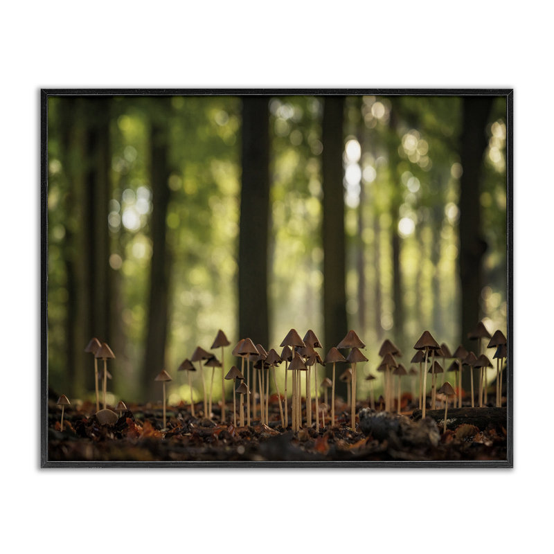 Champignon dans une forêt, estampe numérique encadrée par Martin Podt, H 24 po x l 30 po, Noir
