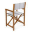 Zaniya Folding Director Chair