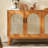 Cassista-317752240