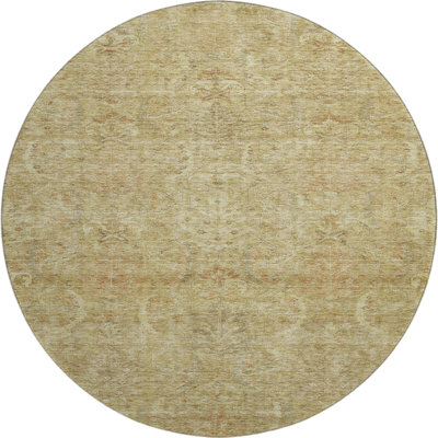 Premium Machine Washable Dahl AMF1082 Damask Rug