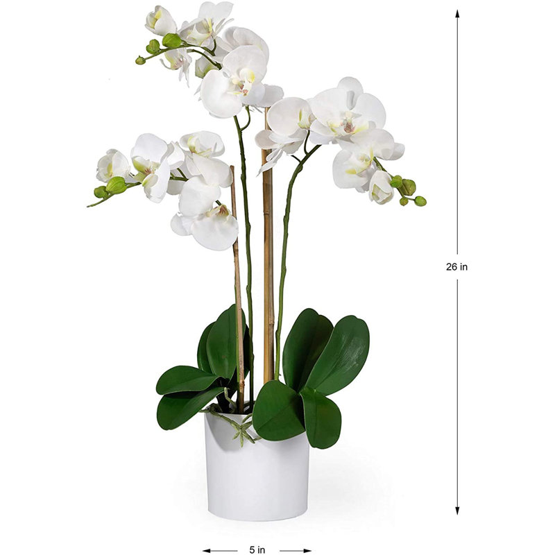 Keira Orchids Floral Arrangement in Pot
