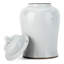 Pot de lion blanc