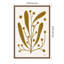«Simple Botanical IV» par Becky Thorns, reproduction d'art sur toile encadrée-100654263