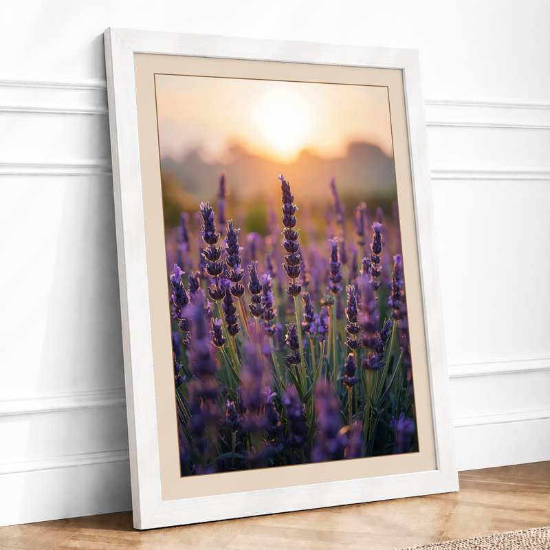 Lavender at Dawn Botanical - Framed Print, A1 - 84.1 x 59.4 cm, White