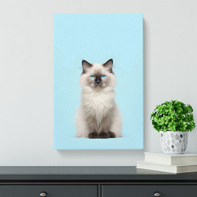 Ragdoll Cat Minimalism - Wrapped Canvas