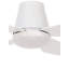 Aalyia 122cm Ceiling Fan with LED Lights