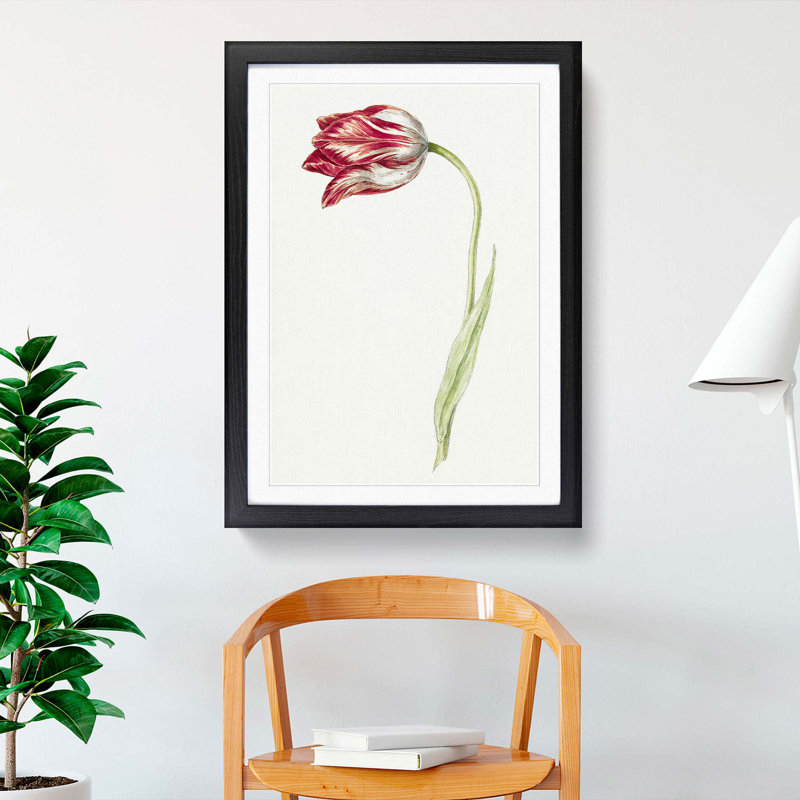 Pink Tulip Flower by Jean Bernard - Picture Frame Painting Print, 36cm H x 27cm W x 2cm D, Black Framed