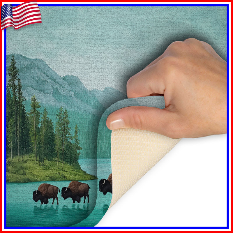 Tapis de bain Bison, L 34 po x L 21 po