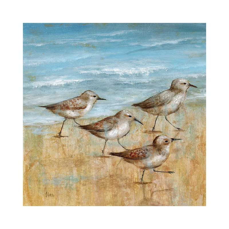 Sandpipers I by Nan - Wrapped Canvas Print, 30.48 cm H x 30.48 cm W