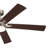 Lucian 60'' Ceiling Fan with LED Lights-715556960