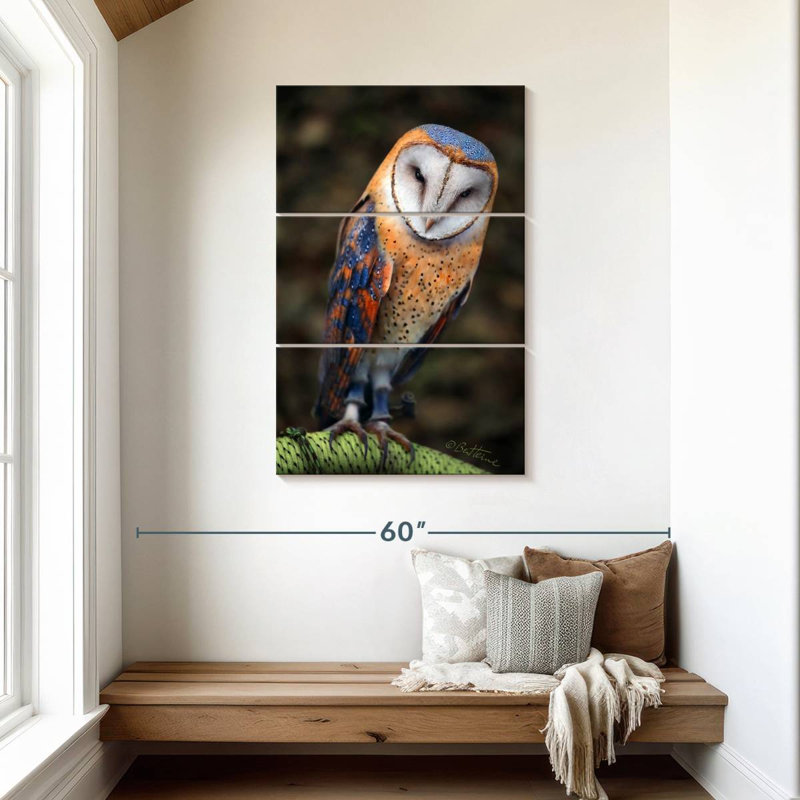 Brampt Heart-Shaped Face Barn Owl, 45" H x 28" W