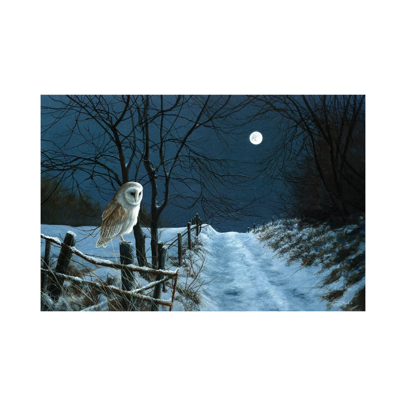 Hunter's Moon - Barn Owl by Jeremy Paul - Wrapped Canvas Print, 66.04cm H x 101.6cm W x 1.905cm D