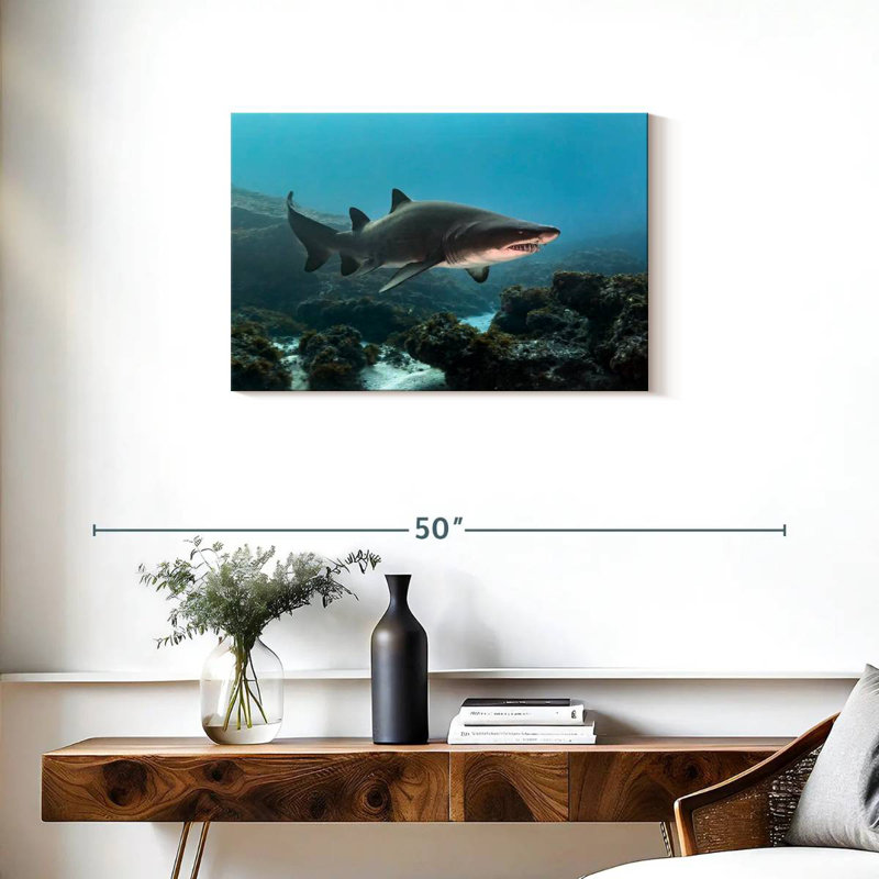 Aliwal Shoal Shark