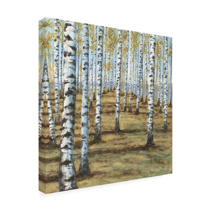 Birch Hillside II - impression sur toile tendue, H 24 po x l 24 po