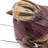 Bird Figurine Decor  Set of 12  5" x 2"  Brown