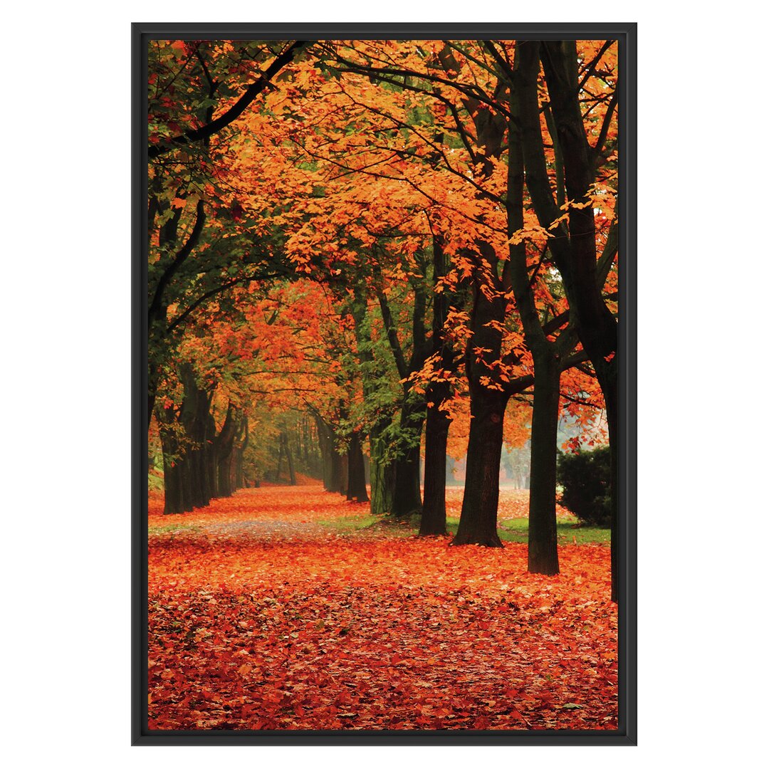 Gerahmtes Wandbild BaumalleeHerbst