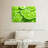 Yarlin Lime Slices-108730367
