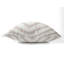 Coussin Zebra-107834668-107834673