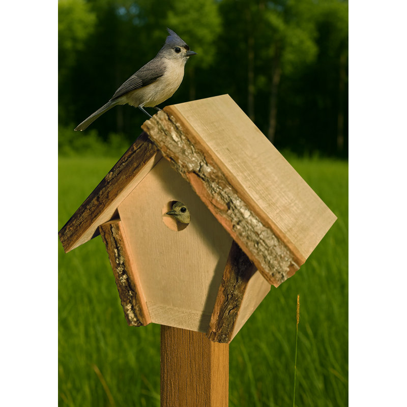 Maison d'oiseaux rustique style chalet