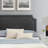 Modway Novi Performance Velvet Bed-499040056-499040060