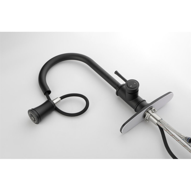 Robinet de cuisine avec douchette extractible