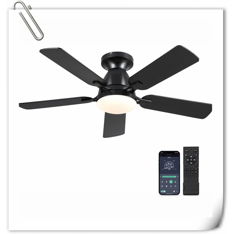 Museau Ceiling Fan with LED Lights, White