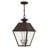 Fraida Bulb Outdoor Hanging Lantern-22670233