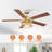 Rippeon 52'' Ceiling Fan with Light Kit-648324877
