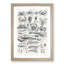 Study of Crustaceans by Oliver Goldsmith - Framed Print-55730463-55730465
