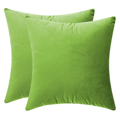 Velvet Reversible Throw Pillow