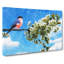 Bullfinch Bird On A Tree - Wrapped Canvas Print-61848135