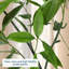 7 FT Artificial Eucalyptus Tree, Flexible Stems, Realistic Faux Plant for Indoor Outdoor Use, Lifelike Leaves-961954007-961954006