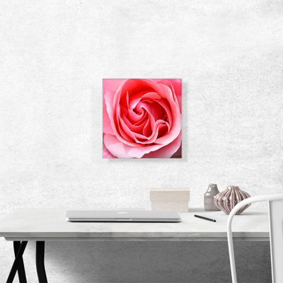 " Rose Texture "