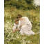 Art sur toile tendue, Darby Home Co Seeger, Hermann Gallery-2103348805