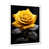 White Single Picture Framed
