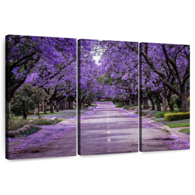 Sirci, rue Jacaranda en fleurs