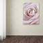 Rose rose par Cora Niele - reproduction de photo sur toile-32708199