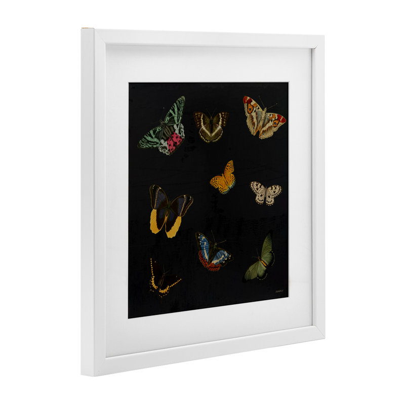 Reproduction sous verre de la collection Butterfly & Moth, conception de Dan Meneely, Cadre blanc côtier, H 13 po x l 13 po