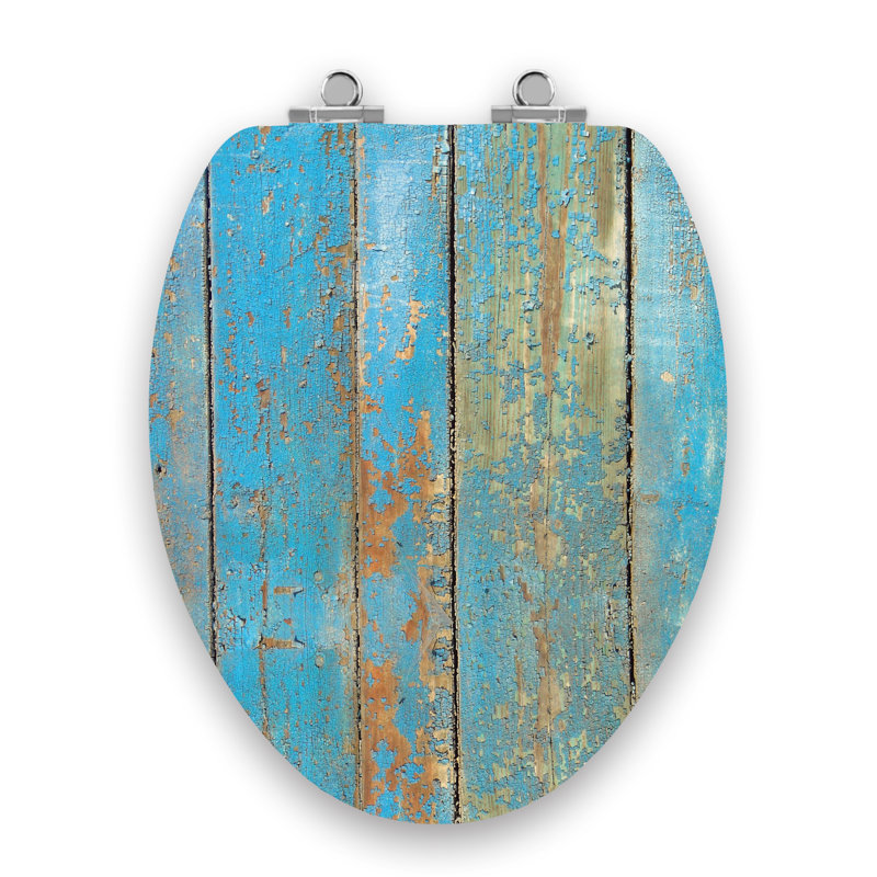Art Of Acryl Elongated Toilet Seat and Lid