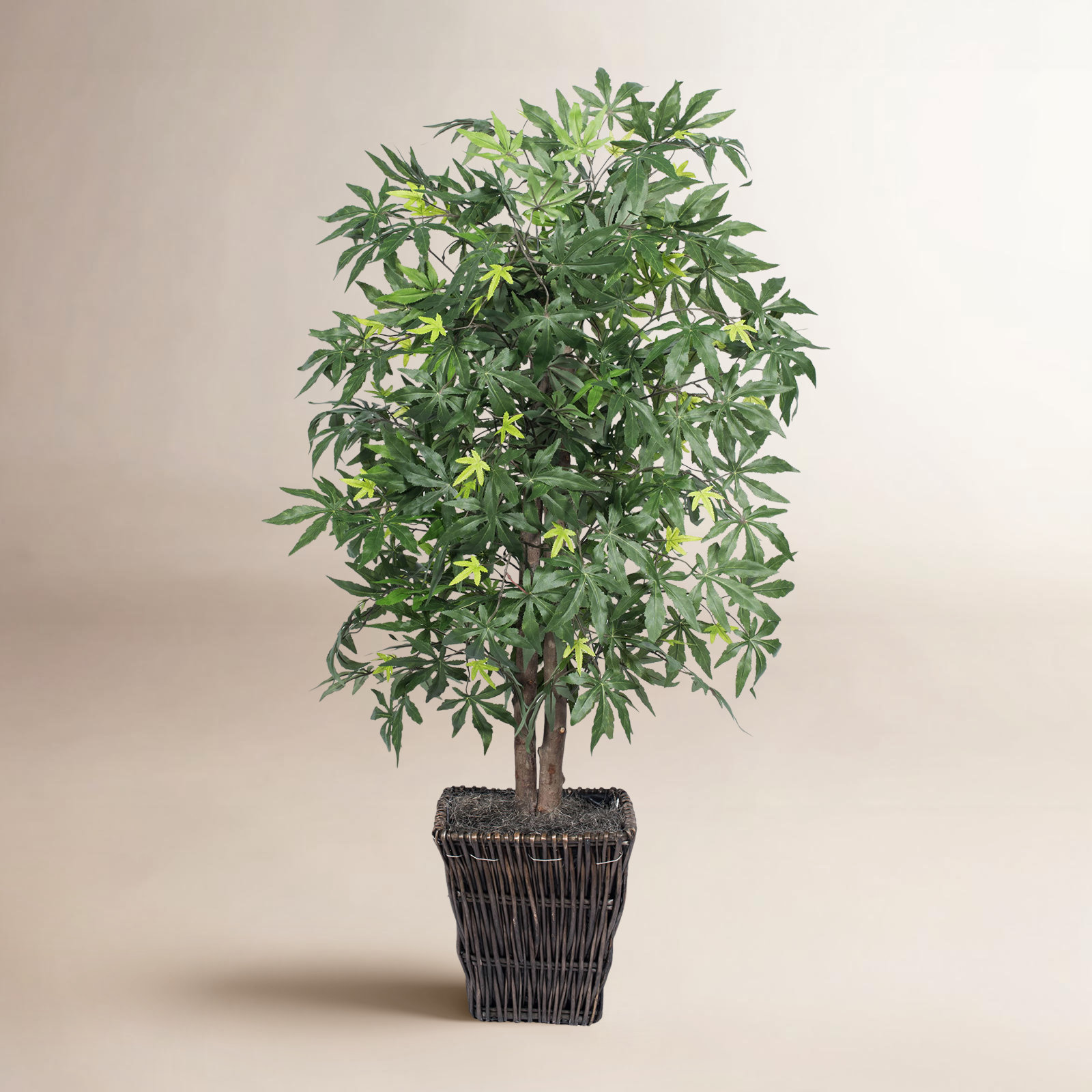 Dejaun 48'' Faux Maple Tree in Manufactured Wood Basket