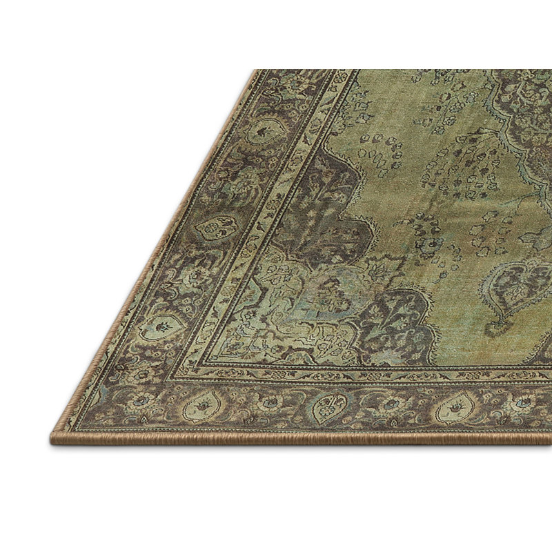Oriental Indoor Rug, Rectangle 8' x 10'