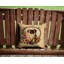 Coussin décoratif-913156984