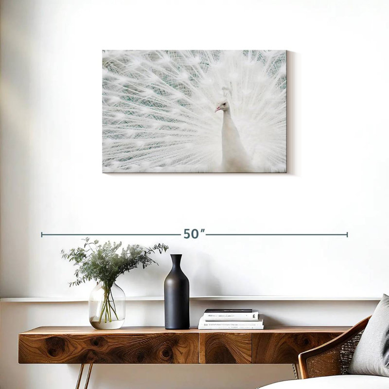 Plume de paon blanc neige Brampt, H 20 po x l 30 po