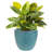 14 in (35.6 cm) Raised Hexagon Pattern Glazed Ceramic Planter - Turquoise